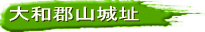 aSR隬