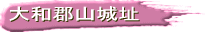 aSR隬