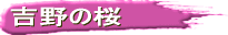 g̍